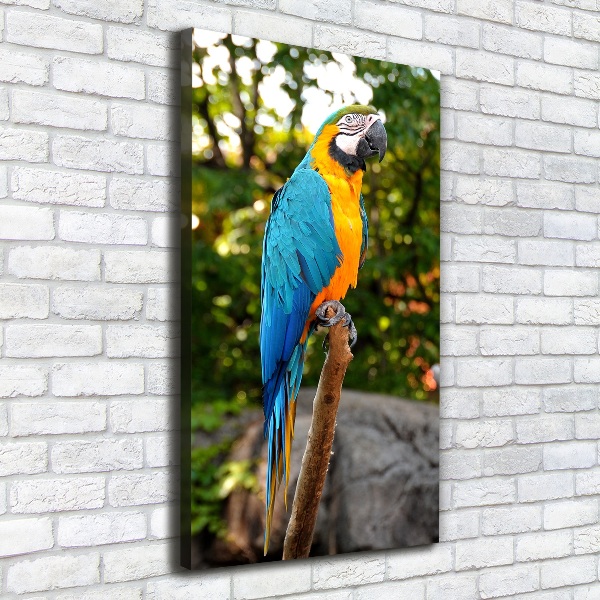 Canvas wall art Ara parrot