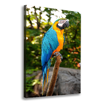 Canvas wall art Ara parrot