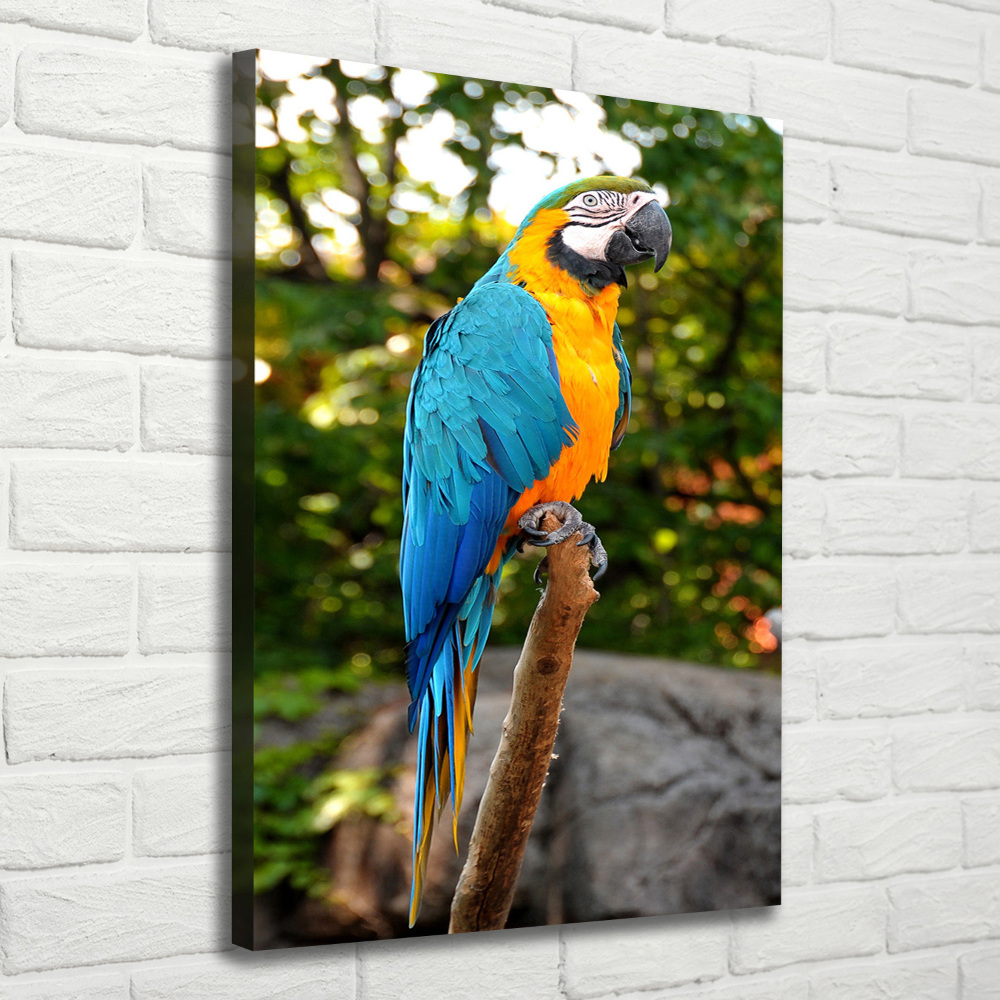 Canvas wall art Ara parrot