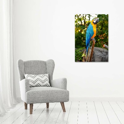 Canvas wall art Ara parrot