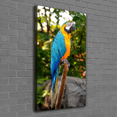 Canvas wall art Ara parrot