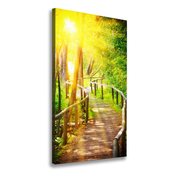 Large canvas wall art Path in the forest