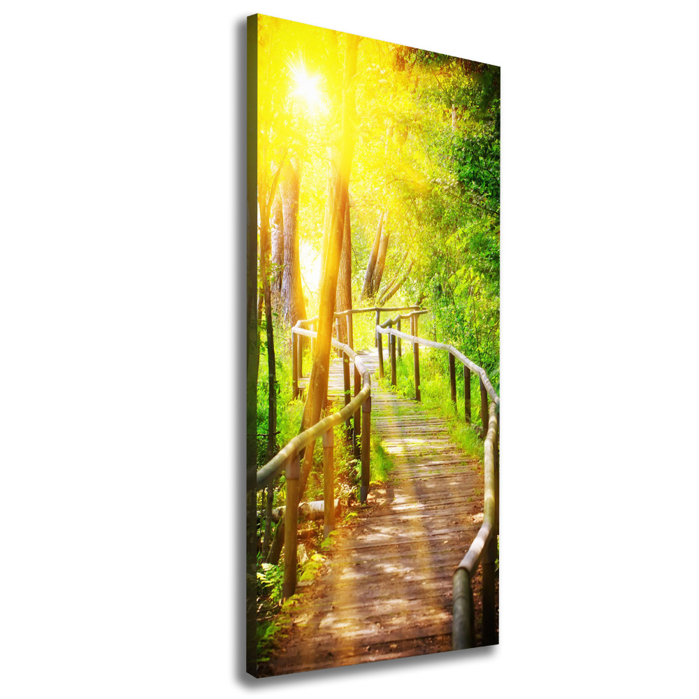 Large canvas wall art Path in the forest