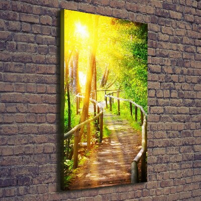 Large canvas wall art Path in the forest