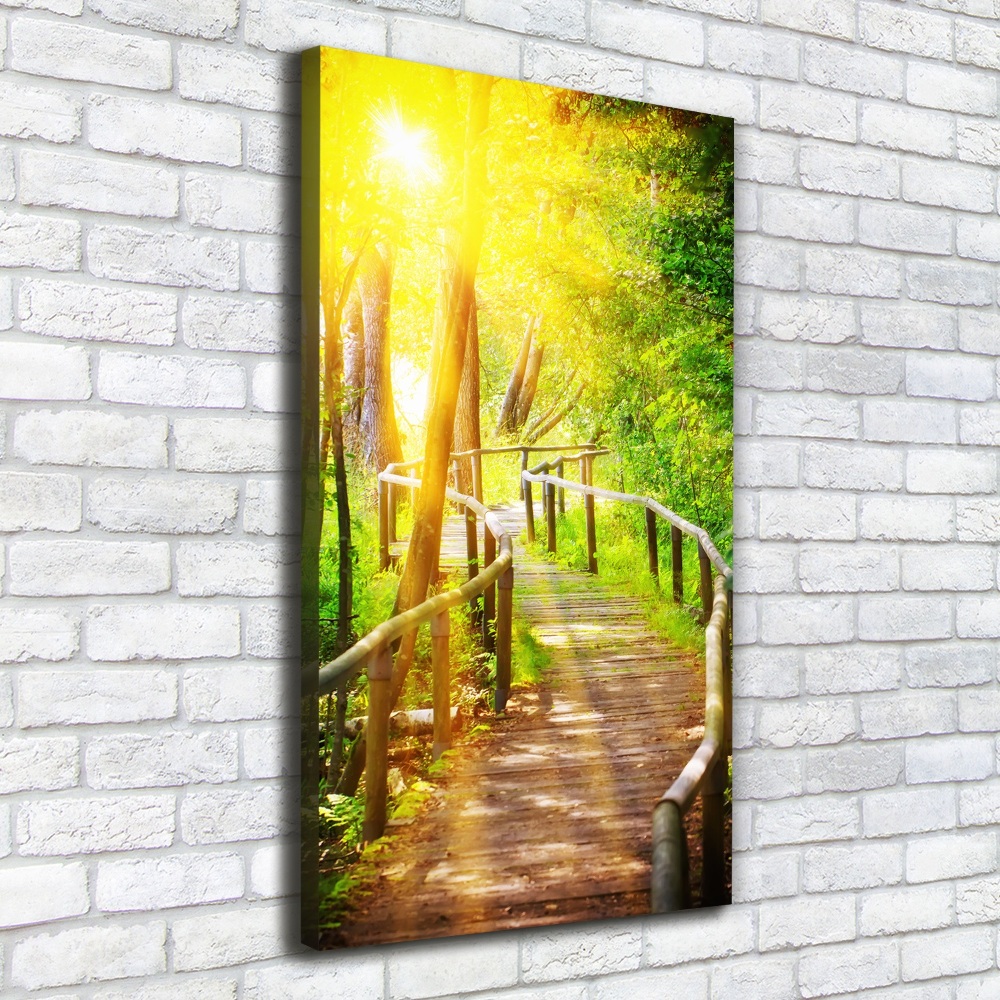 Large canvas wall art Path in the forest