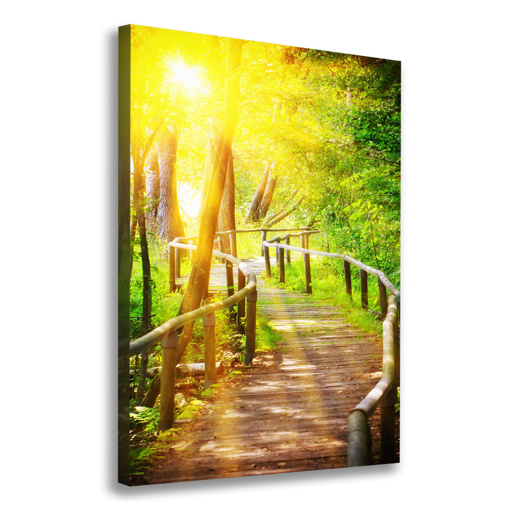 Large canvas wall art Path in the forest