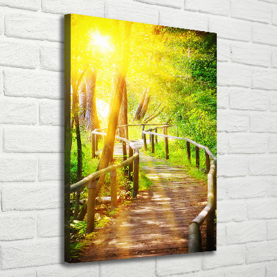 Large canvas wall art Path in the forest