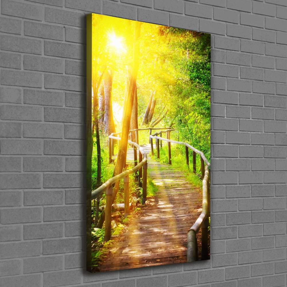 Large canvas wall art Path in the forest