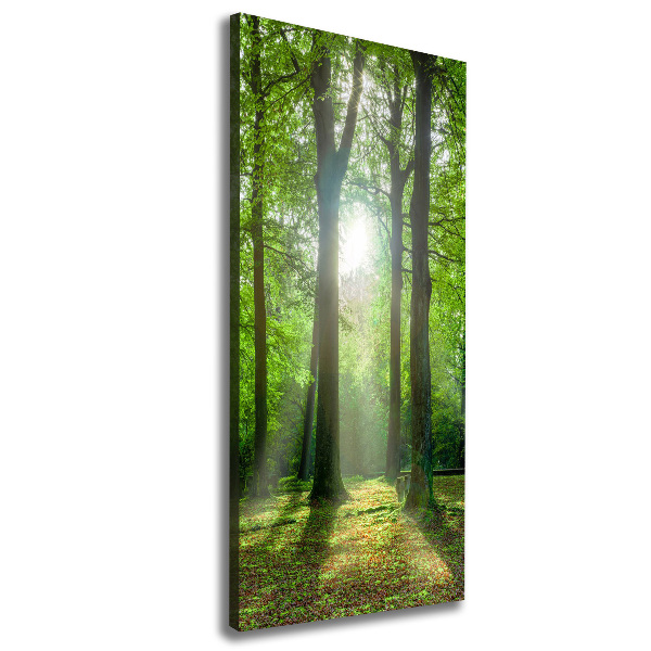 Large canvas wall art The sun in the forest