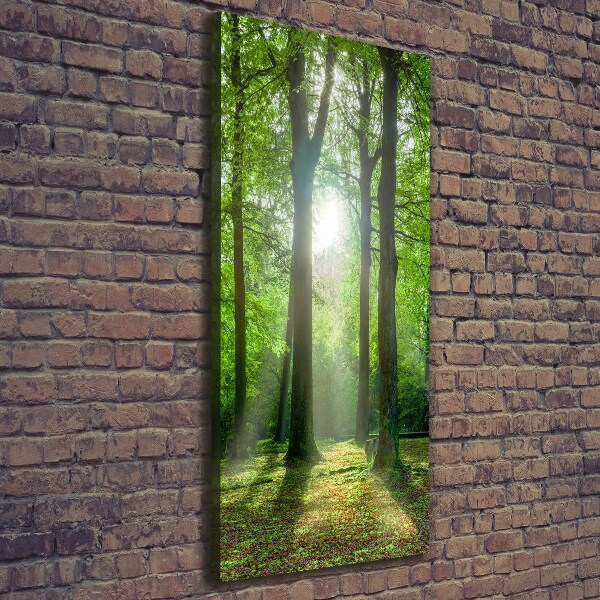 Large canvas wall art The sun in the forest