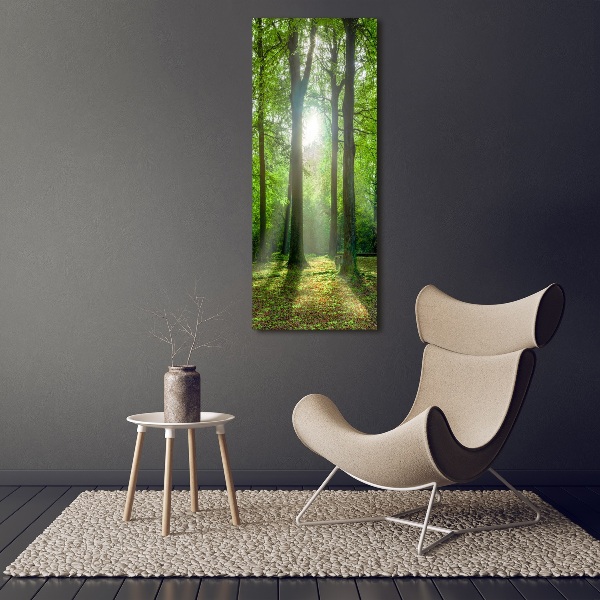 Large canvas wall art The sun in the forest