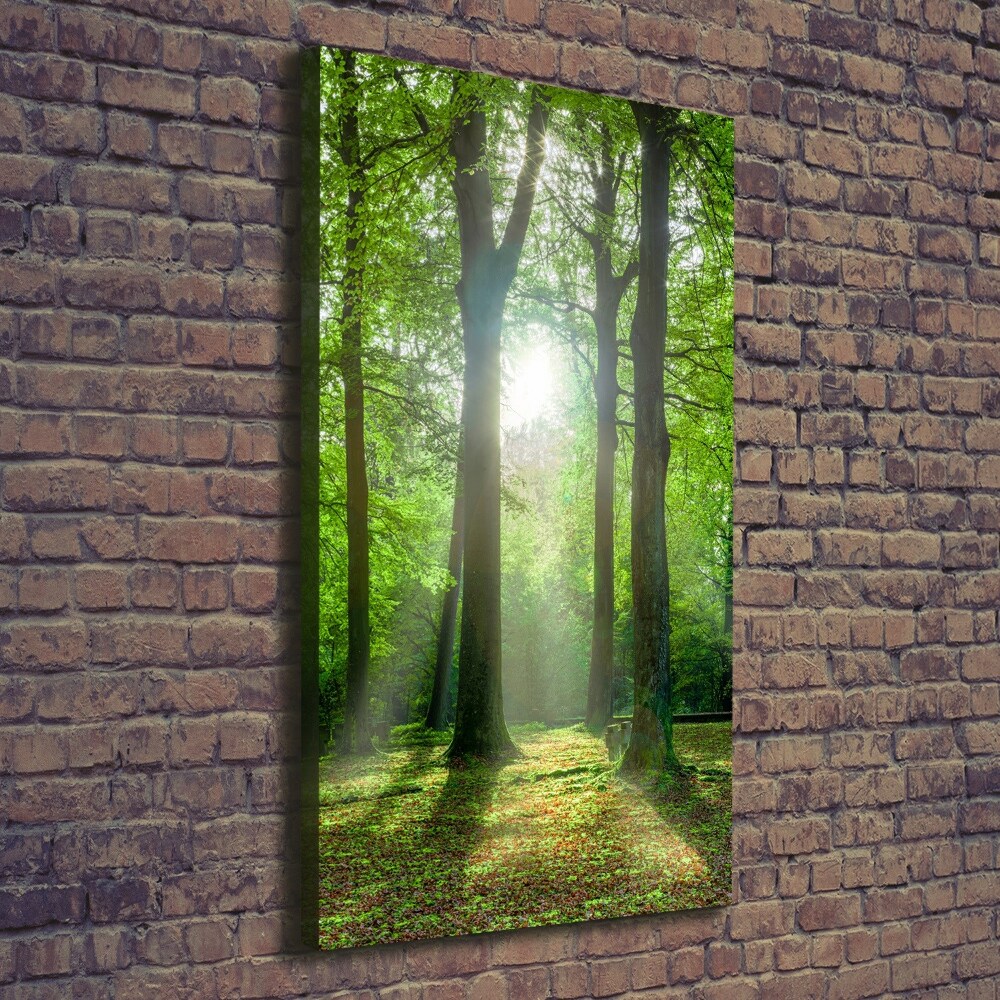 Large canvas wall art The sun in the forest