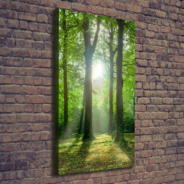 Large canvas wall art The sun in the forest