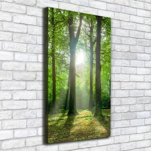 Large canvas wall art The sun in the forest