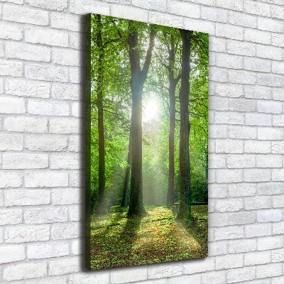 Large canvas wall art The sun in the forest