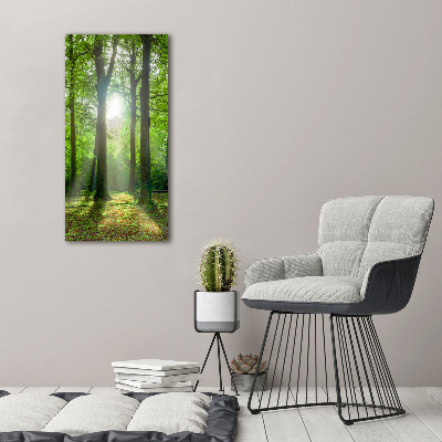 Large canvas wall art The sun in the forest