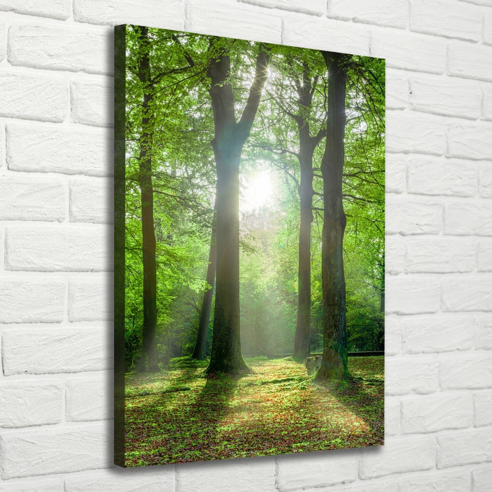 Large canvas wall art The sun in the forest