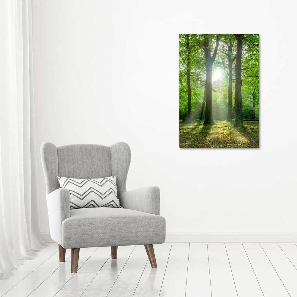 Large canvas wall art The sun in the forest