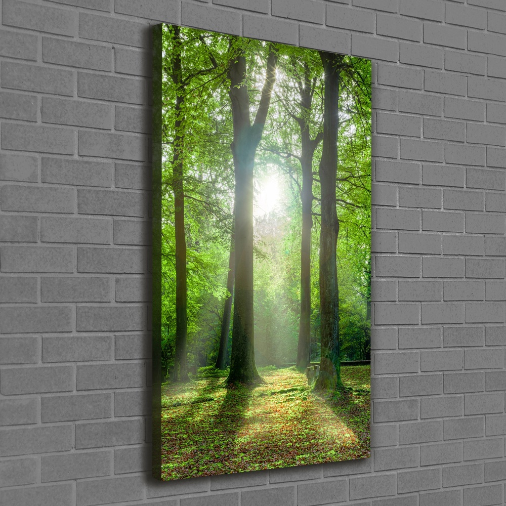 Large canvas wall art The sun in the forest