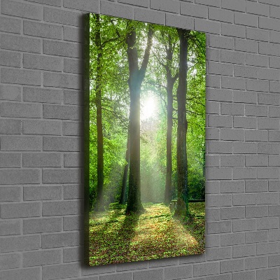 Large canvas wall art The sun in the forest