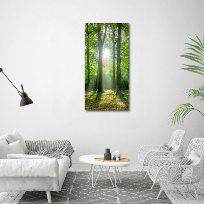 Large canvas wall art The sun in the forest