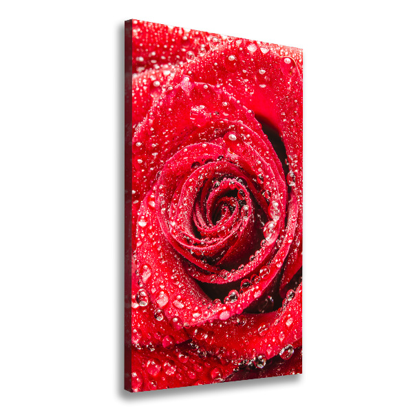 Canvas wall art Red rose