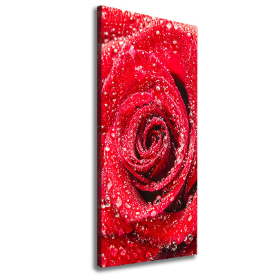 Canvas wall art Red rose