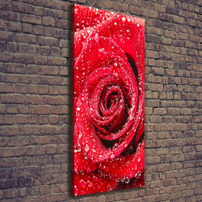 Canvas wall art Red rose