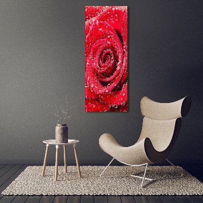 Canvas wall art Red rose