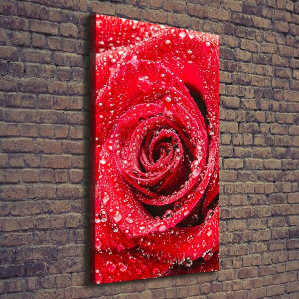 Canvas wall art Red rose