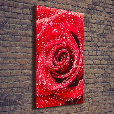 Canvas wall art Red rose