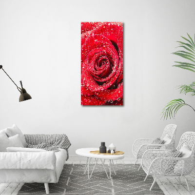 Canvas wall art Red rose