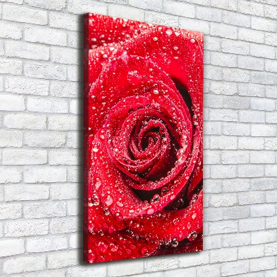 Canvas wall art Red rose