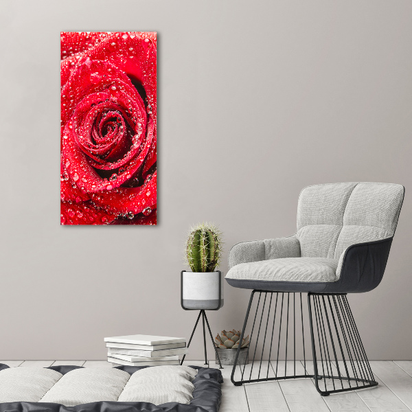 Canvas wall art Red rose