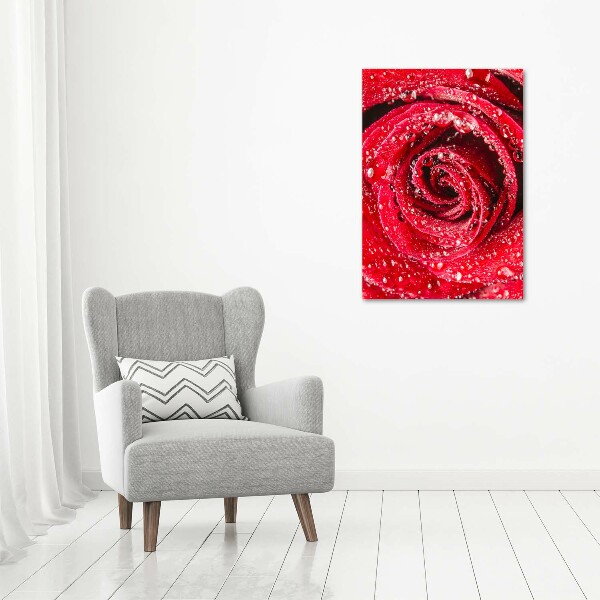 Canvas wall art Red rose