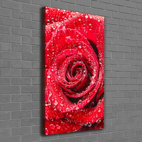 Canvas wall art Red rose