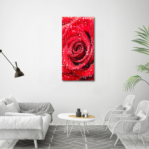 Canvas wall art Red rose