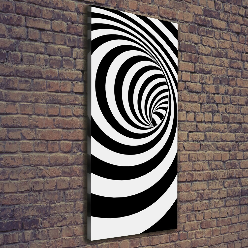 Canvas wall art Striped spiral