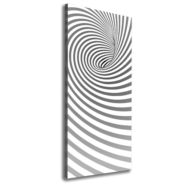 Canvas wall art Striped spiral