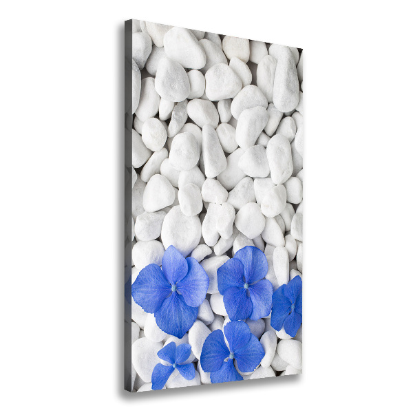 Canvas wall art Hydrangea stones