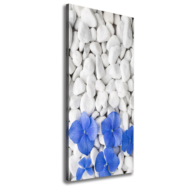 Canvas wall art Hydrangea stones