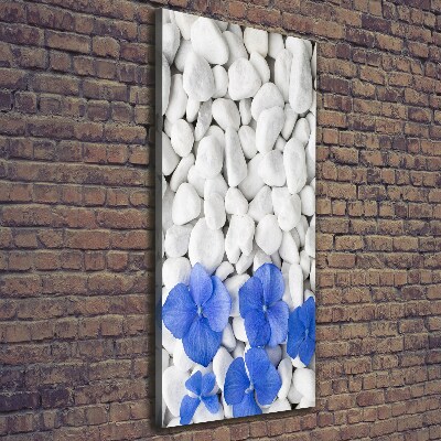 Canvas wall art Hydrangea stones