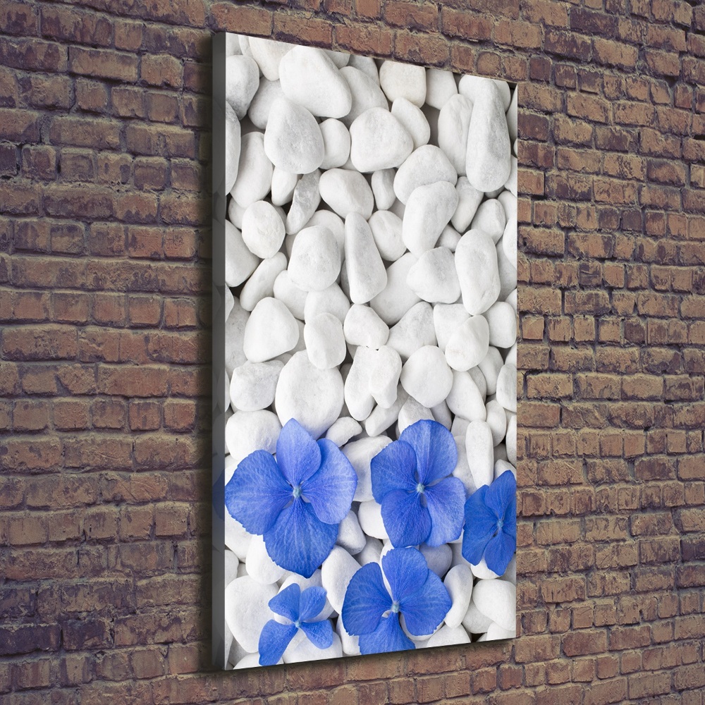 Canvas wall art Hydrangea stones