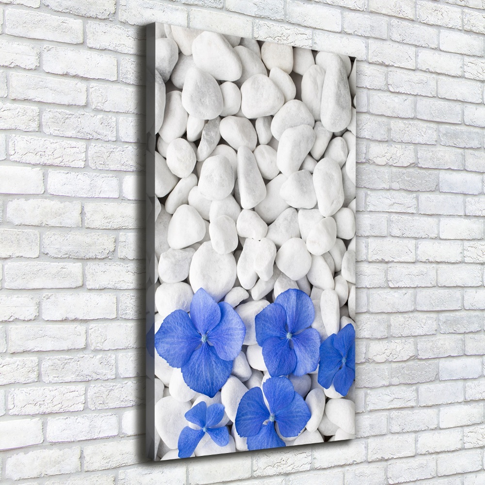 Canvas wall art Hydrangea stones