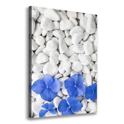 Canvas wall art Hydrangea stones