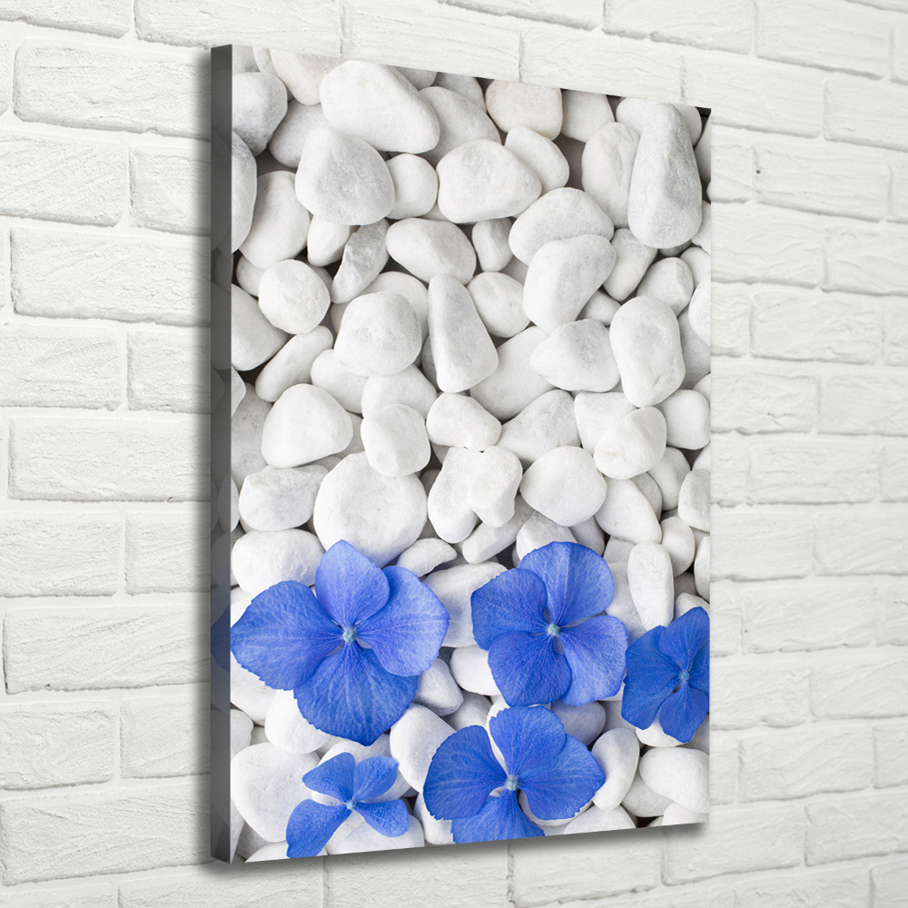 Canvas wall art Hydrangea stones