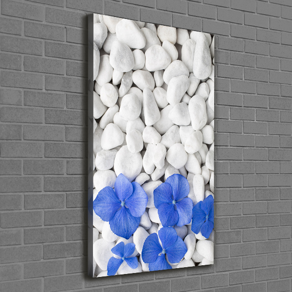 Canvas wall art Hydrangea stones