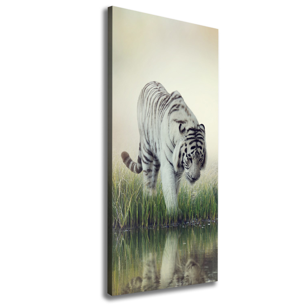 Canvas wall art White Tiger