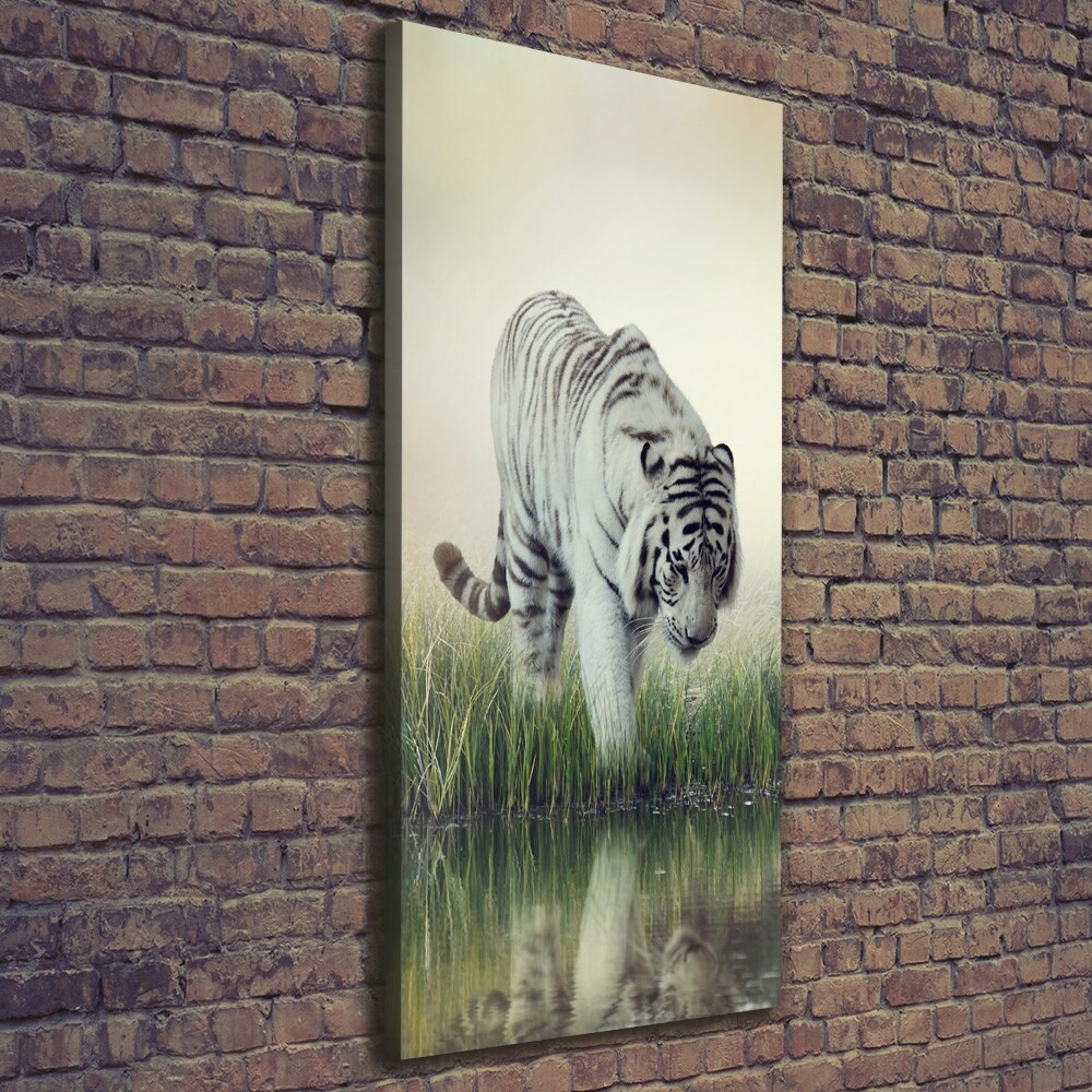 Canvas wall art White Tiger