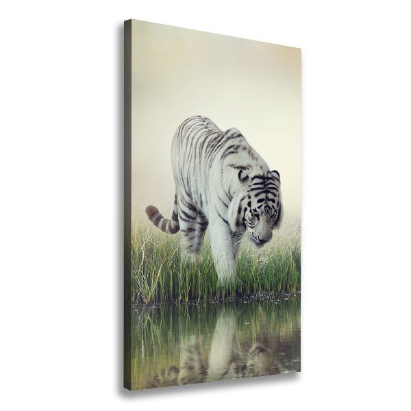 Canvas wall art White Tiger